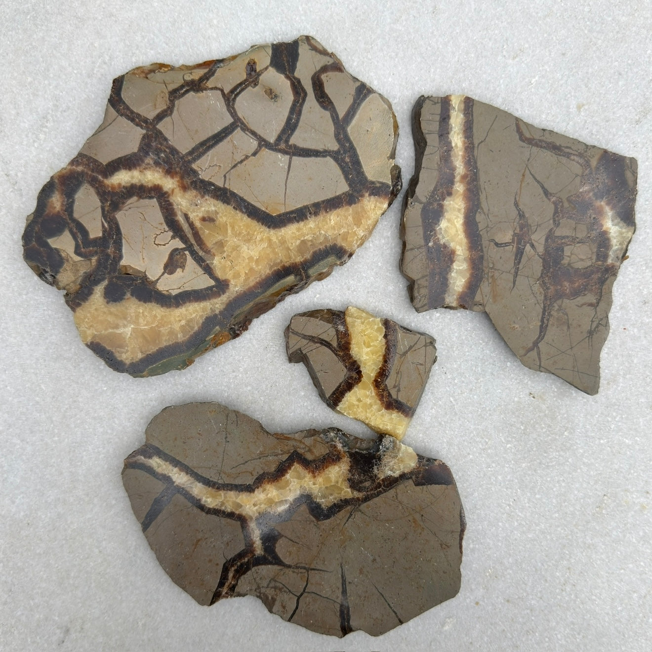 Wholesale Lot 2 lbs Natural Septarian Slabs Crystal Healing Energy