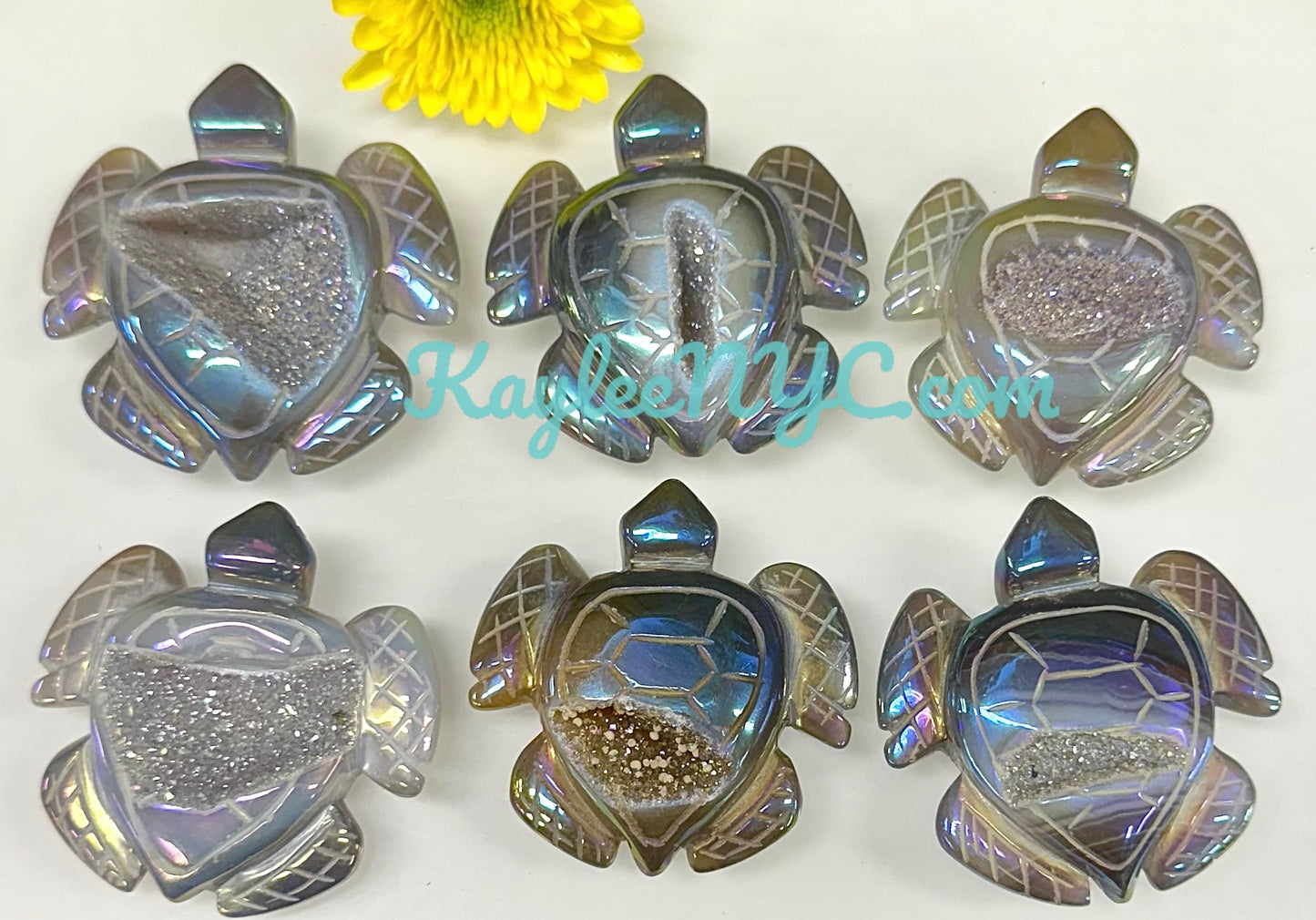 6 PCs Aura Druzy Agate Turtle Healing Energy