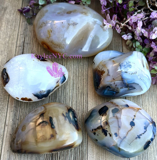 5-6 PCs Natural Dendritic Agate Freeform Crystals