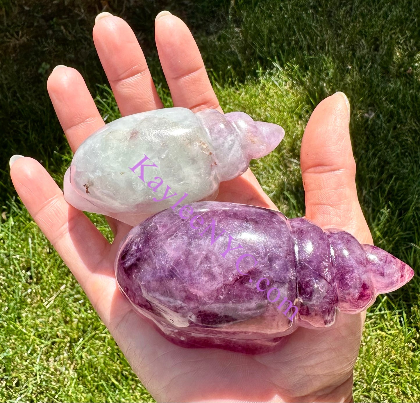 Wholesale Lot 4 Pcs Natural Fluorite Conch Crystal Healing Energy