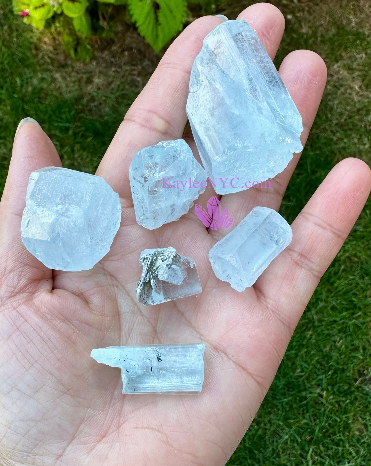 Wholesale Lot 6 pcs Natural Aquamarine Raw .20 lb Crystal Energy