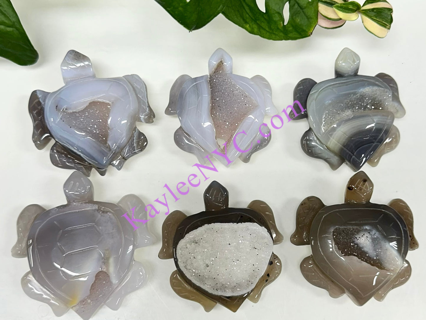 6 PCs Natural Druzy Agate Turtle