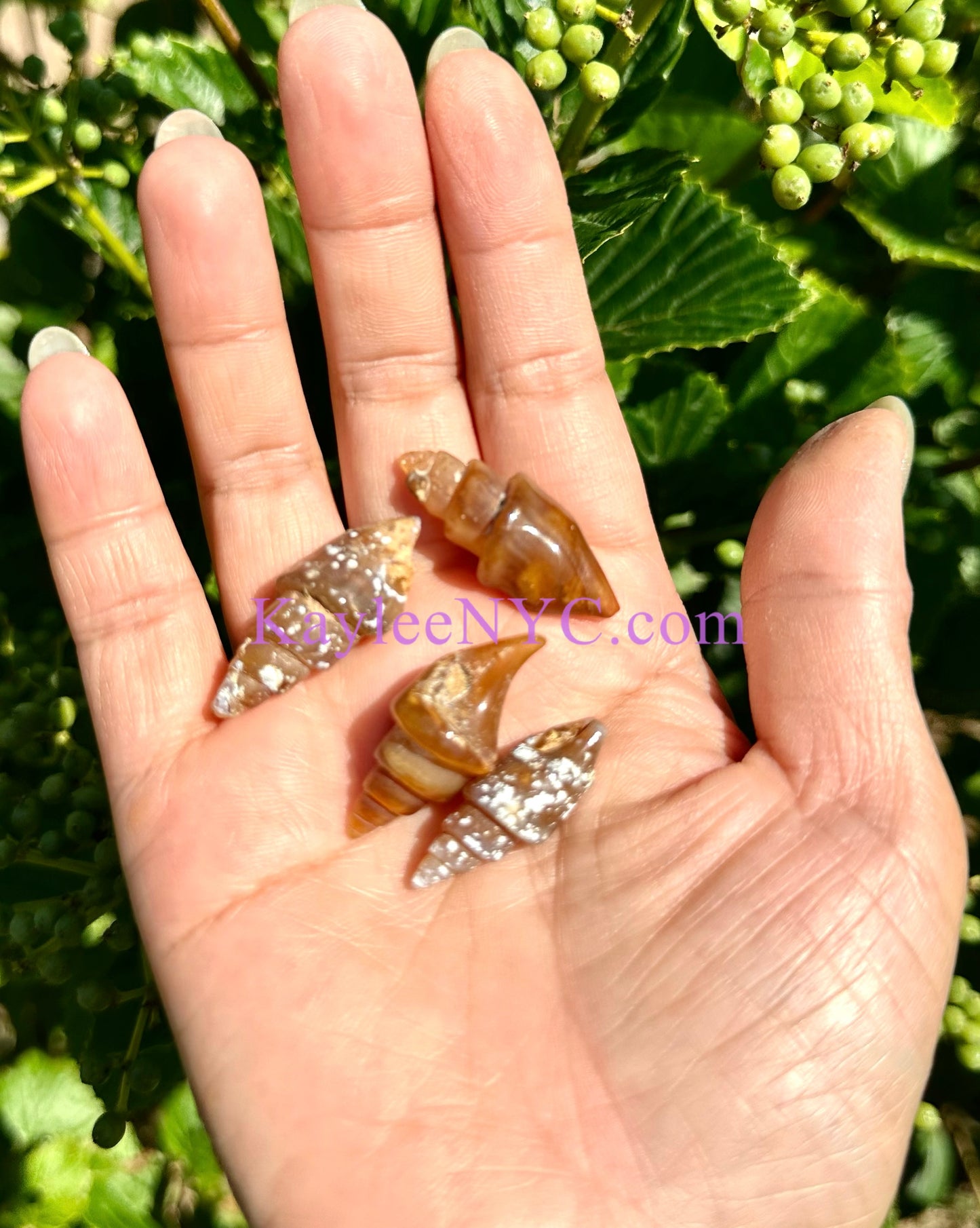 Wholesale Lot 8 PCs Natural Agate Shell Crystal Healing Energy