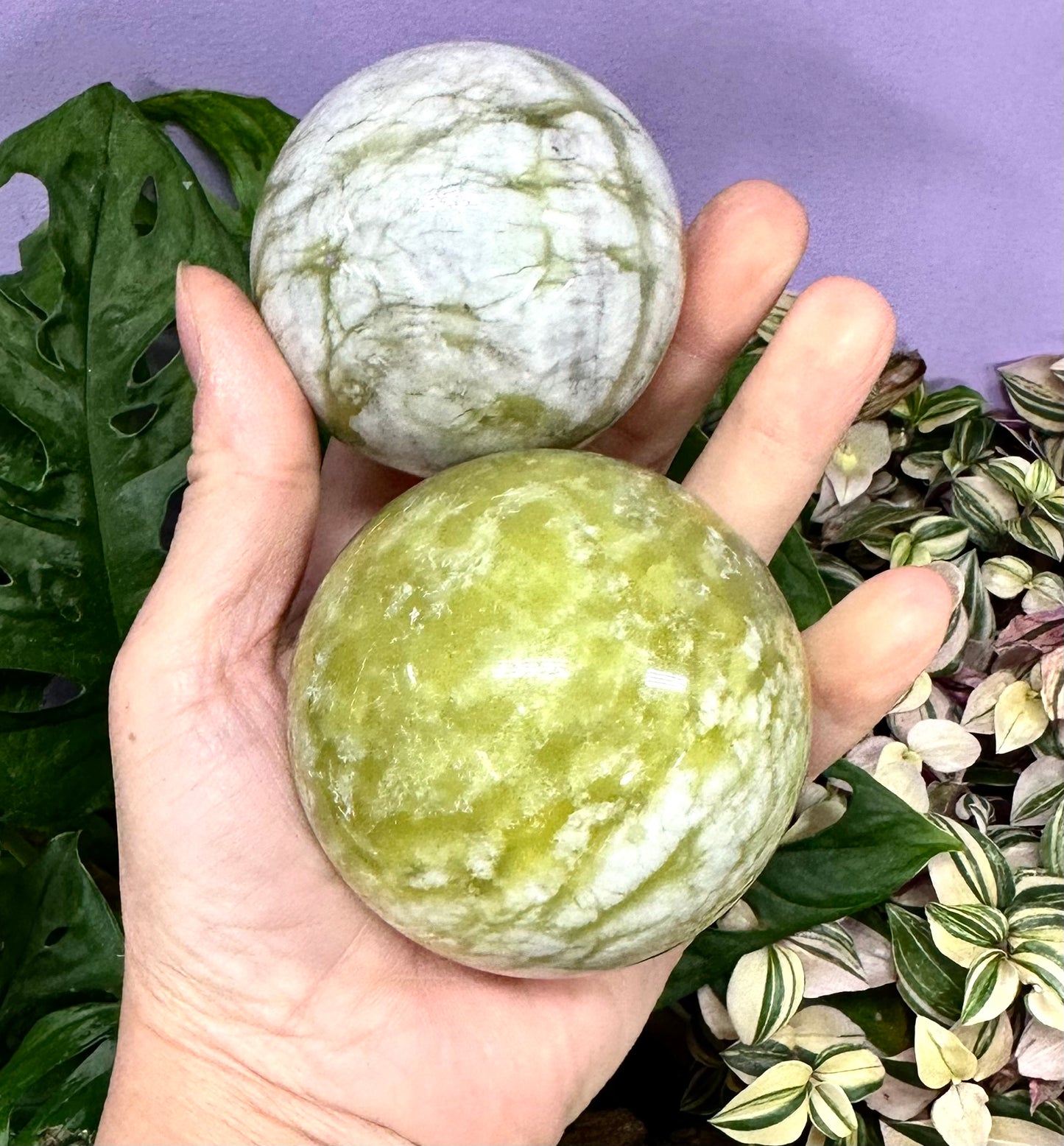 4-5 PCs Natural Jade aka Serpentine Sphere