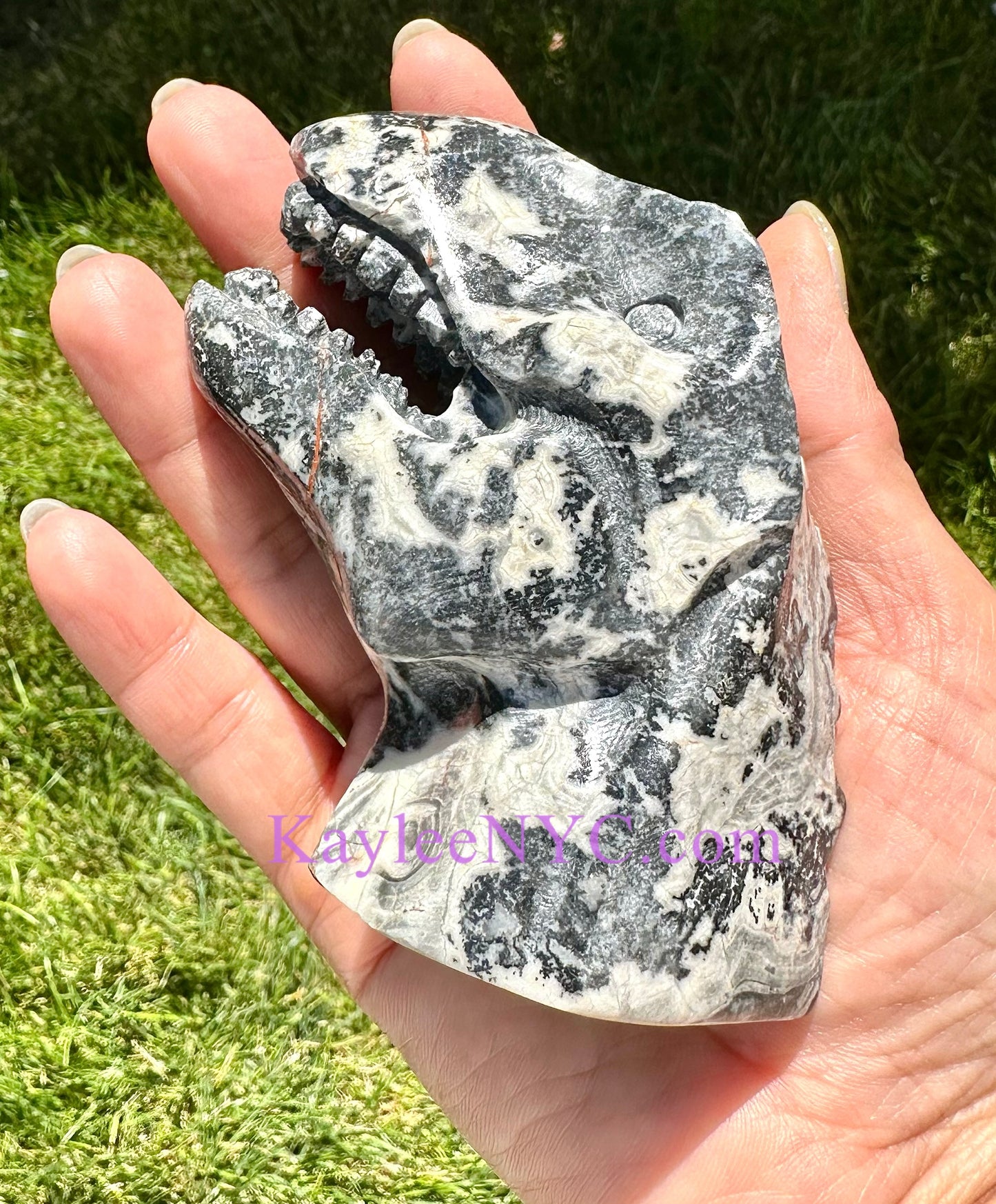 3 PCs Natural Picasso Jasper Dinosaur