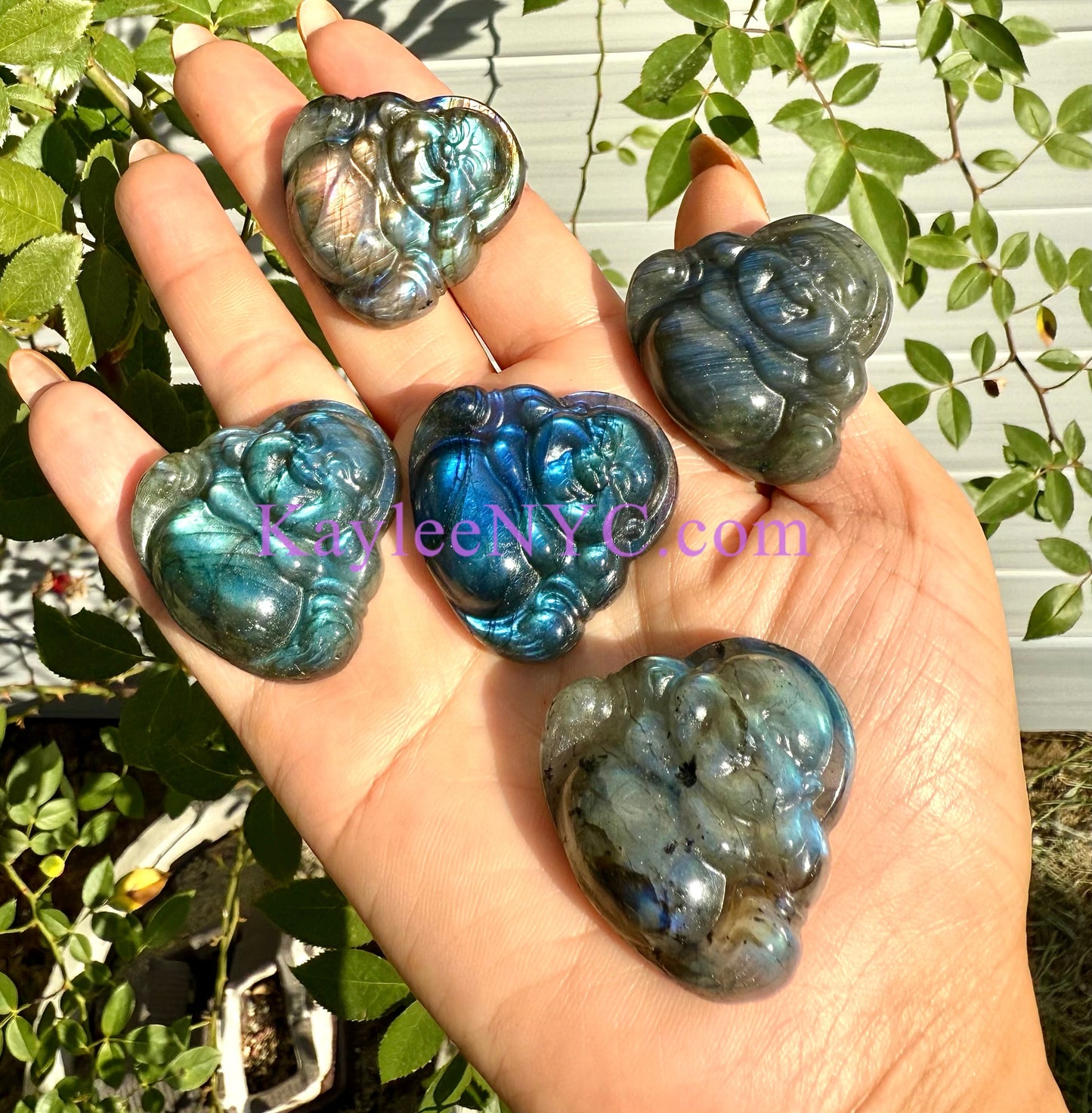 6 PCs Natural Labradorite Buddha Crystals Healing Energy