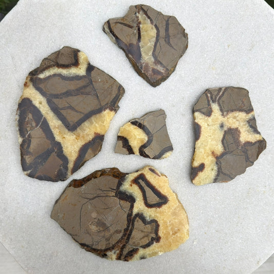 Wholesale Lot 2 lbs Natural Septarian Slabs Crystal Healing Energy