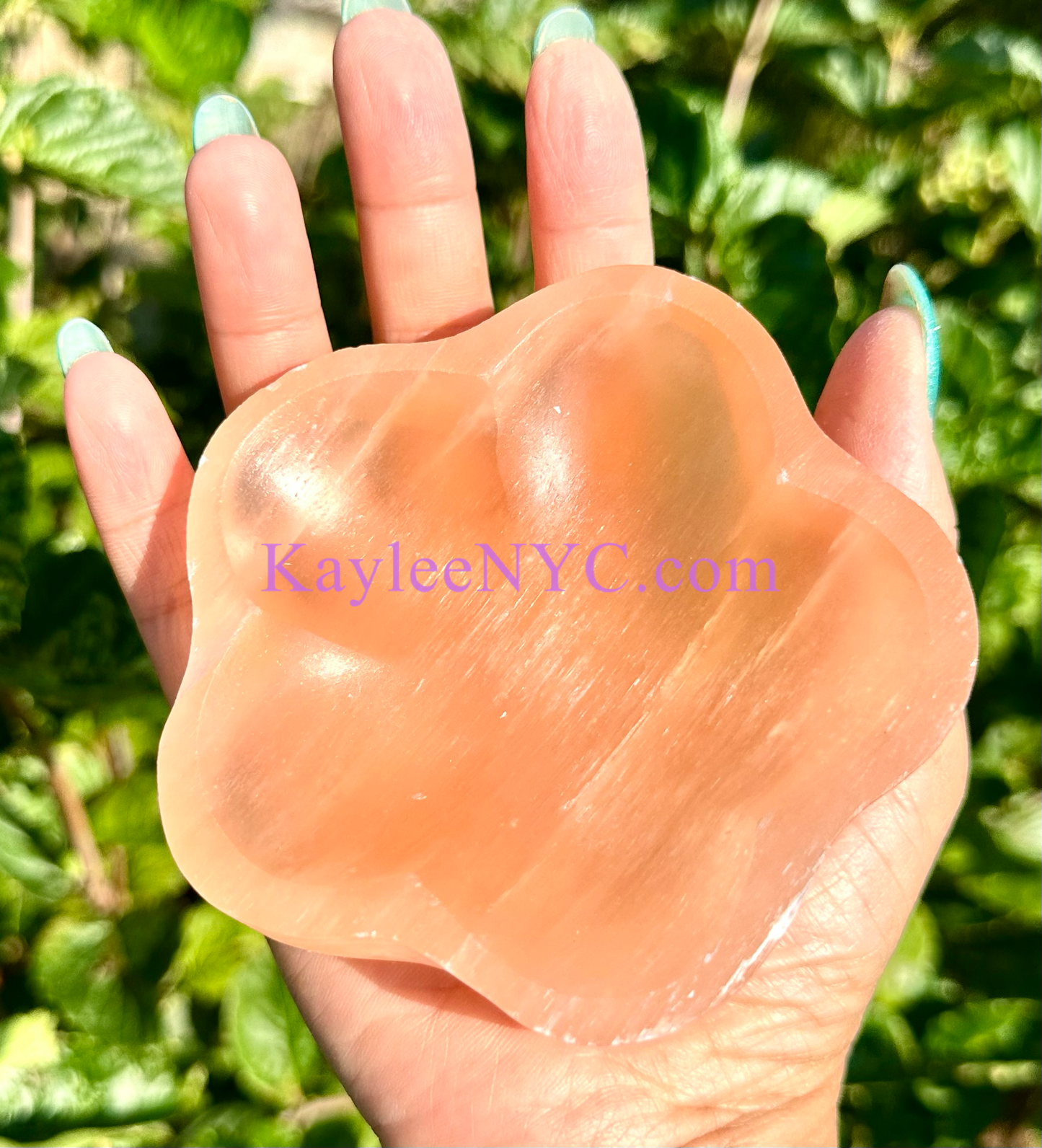 6 PCs Natural Peach Selenite aka Satin Spar Flower Bowl ~10cm