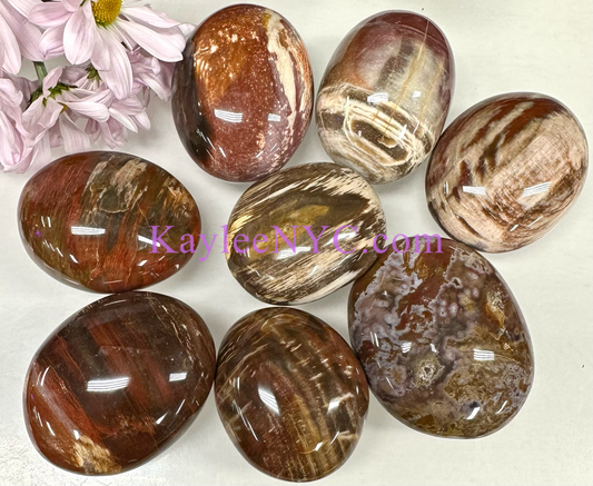 Wholesale 2 Lb Lot Natural Petrified Wood Palm Stones Crystal Natural Energy