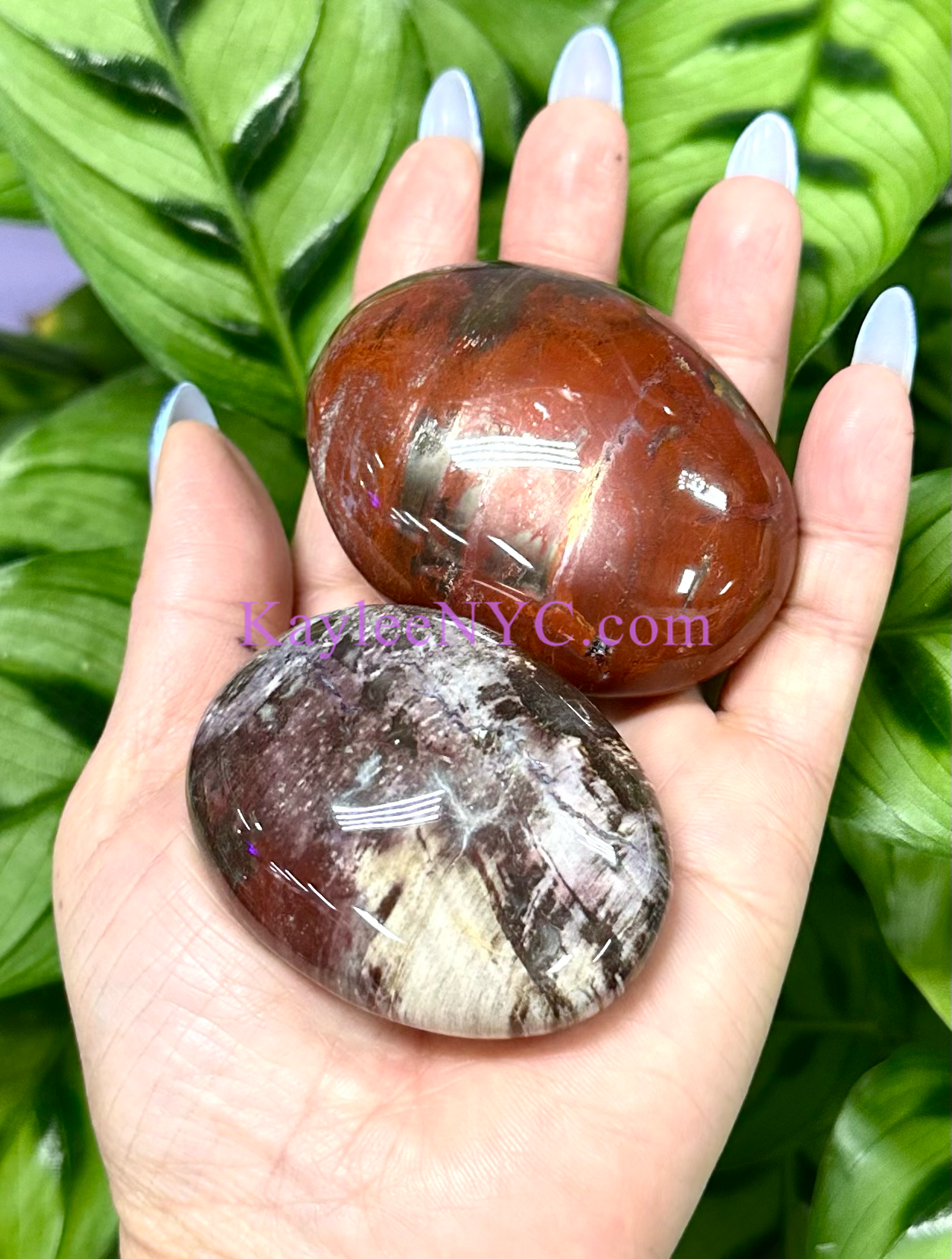 Wholesale 2 Lb Lot Natural Petrified Wood Palm Stones Crystal Natural Energy