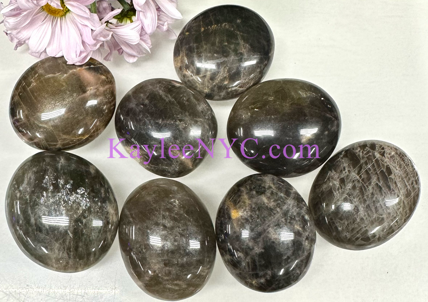 Wholesale 2 Lb Lot Natural Black Moonstone Palm Stones Crystal Natural Energy