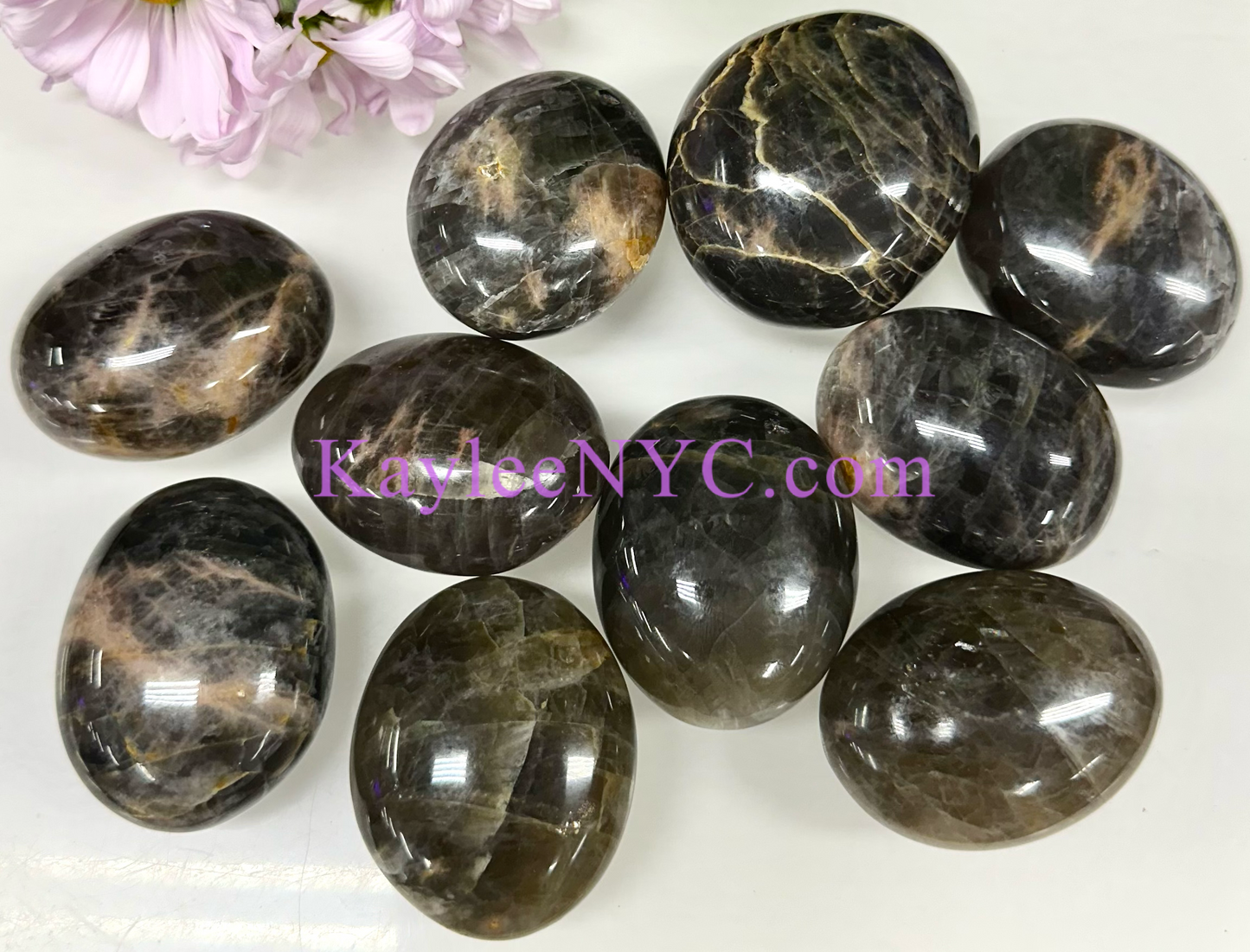 Wholesale 2 Lb Lot Natural Black Moonstone Palm Stones Crystal Natural Energy