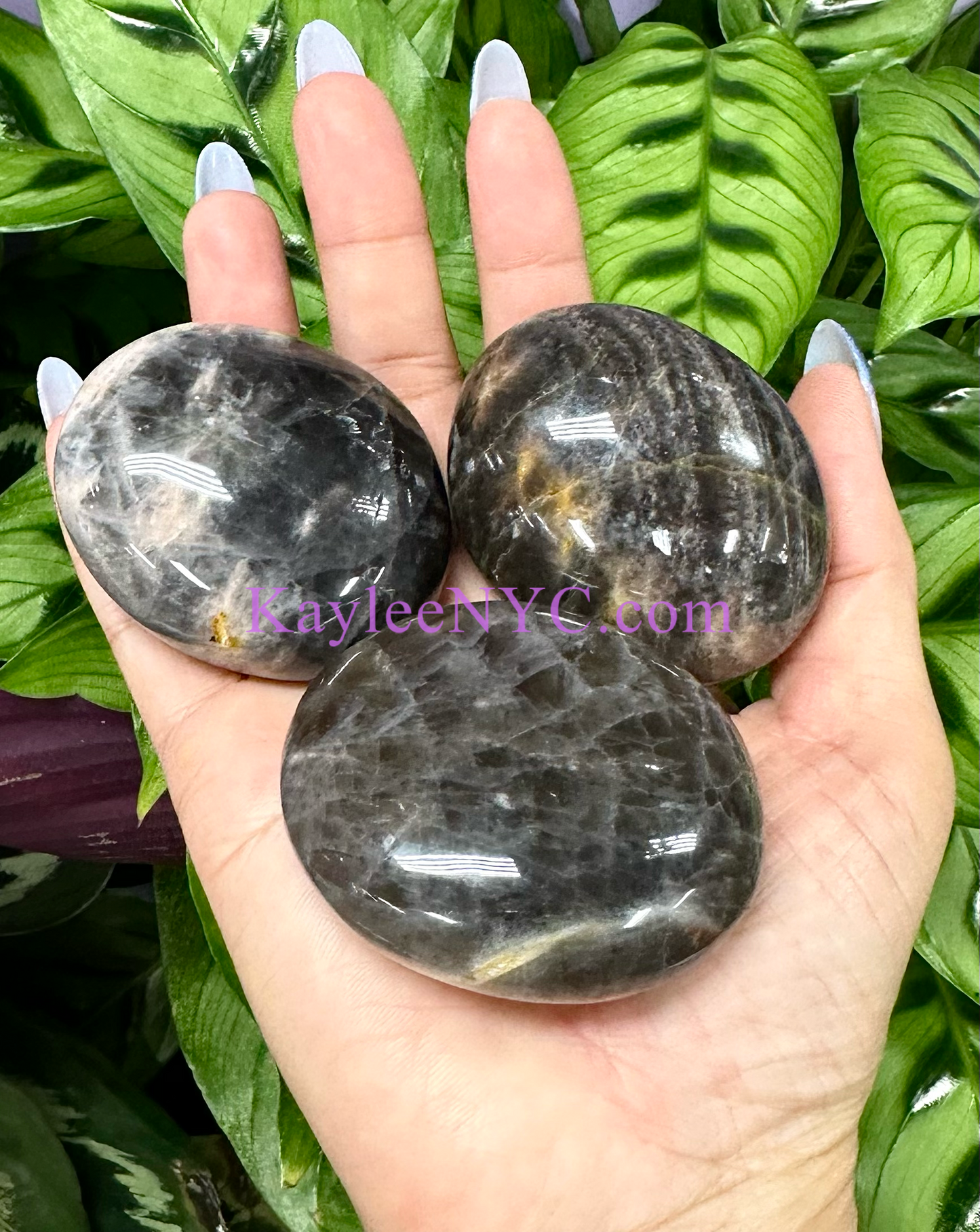 Wholesale 2 Lb Lot Natural Black Moonstone Palm Stones Crystal Natural Energy