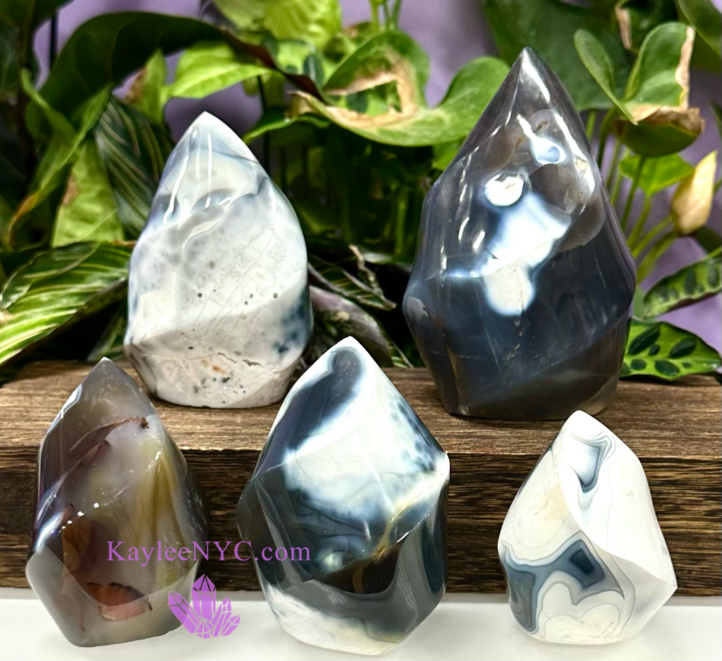 4-5 PCs Natural Orca Agate Flame Crystals