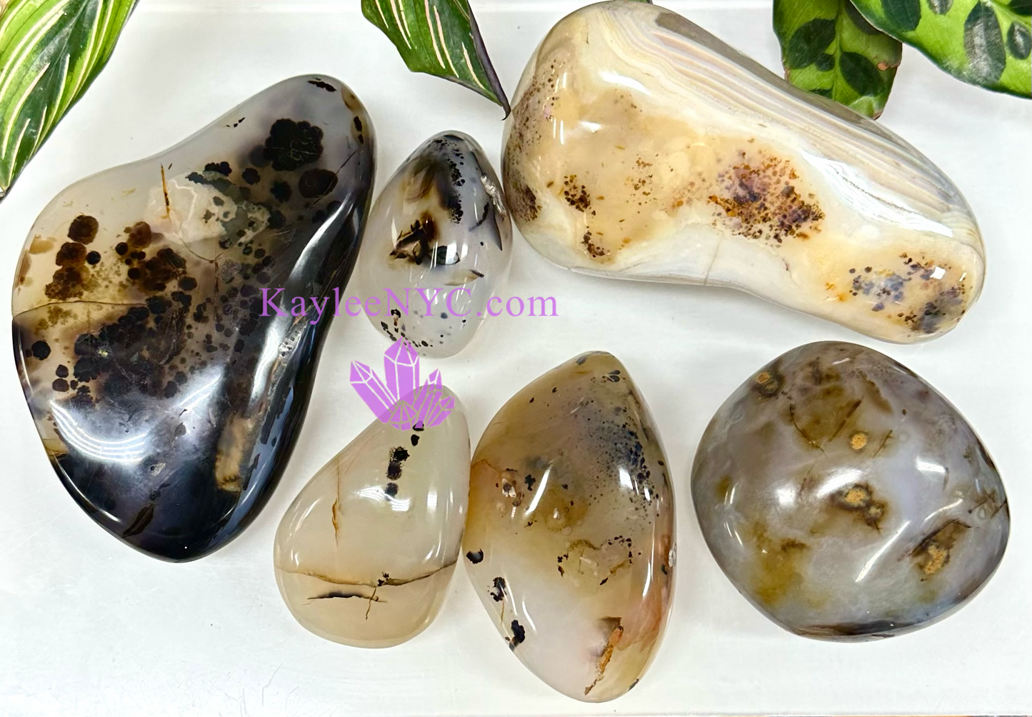 5-6 PCs Natural Dendritic Agate Freeform Crystals