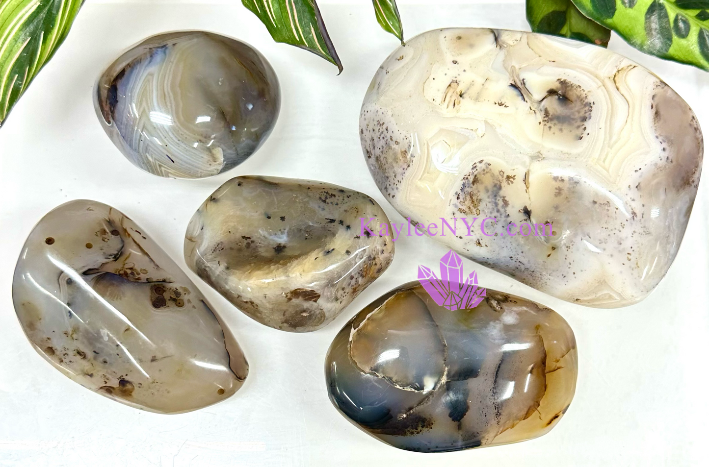 5-6 PCs Natural Dendritic Agate Freeform Crystals