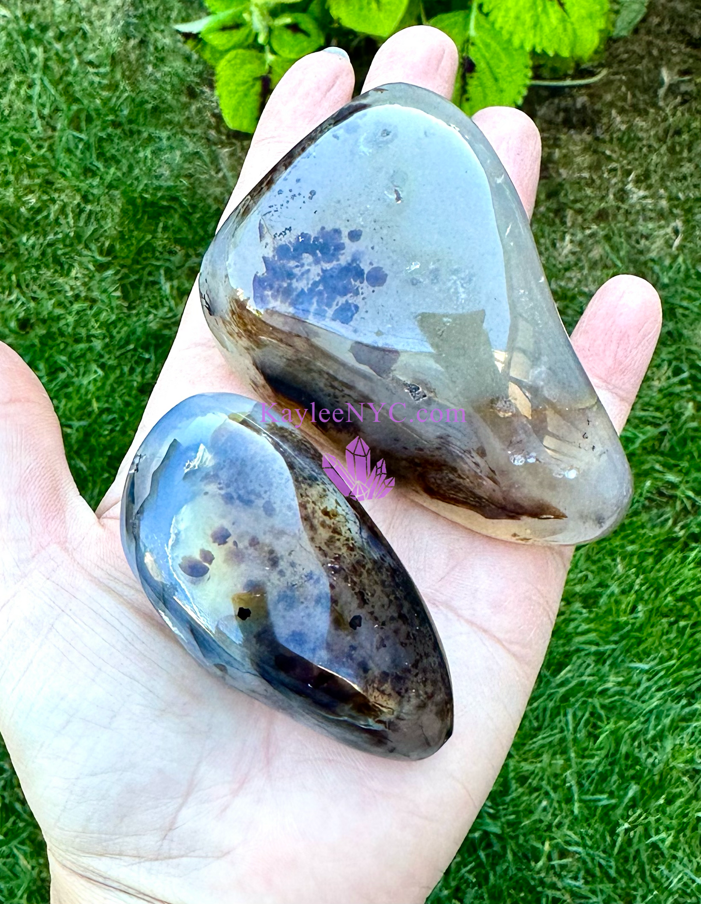 5-6 PCs Natural Dendritic Agate Freeform Crystals