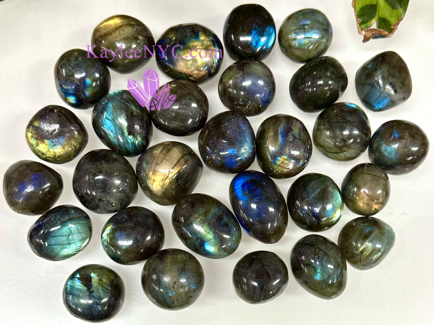 Wholesale Lot 2 Lbs Natural Labradorite Tumble Healing Energy Nice Quality