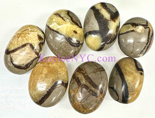 Wholesale 2 Lb Lot Natural Septarian Palm Stones Crystal Natural Energy