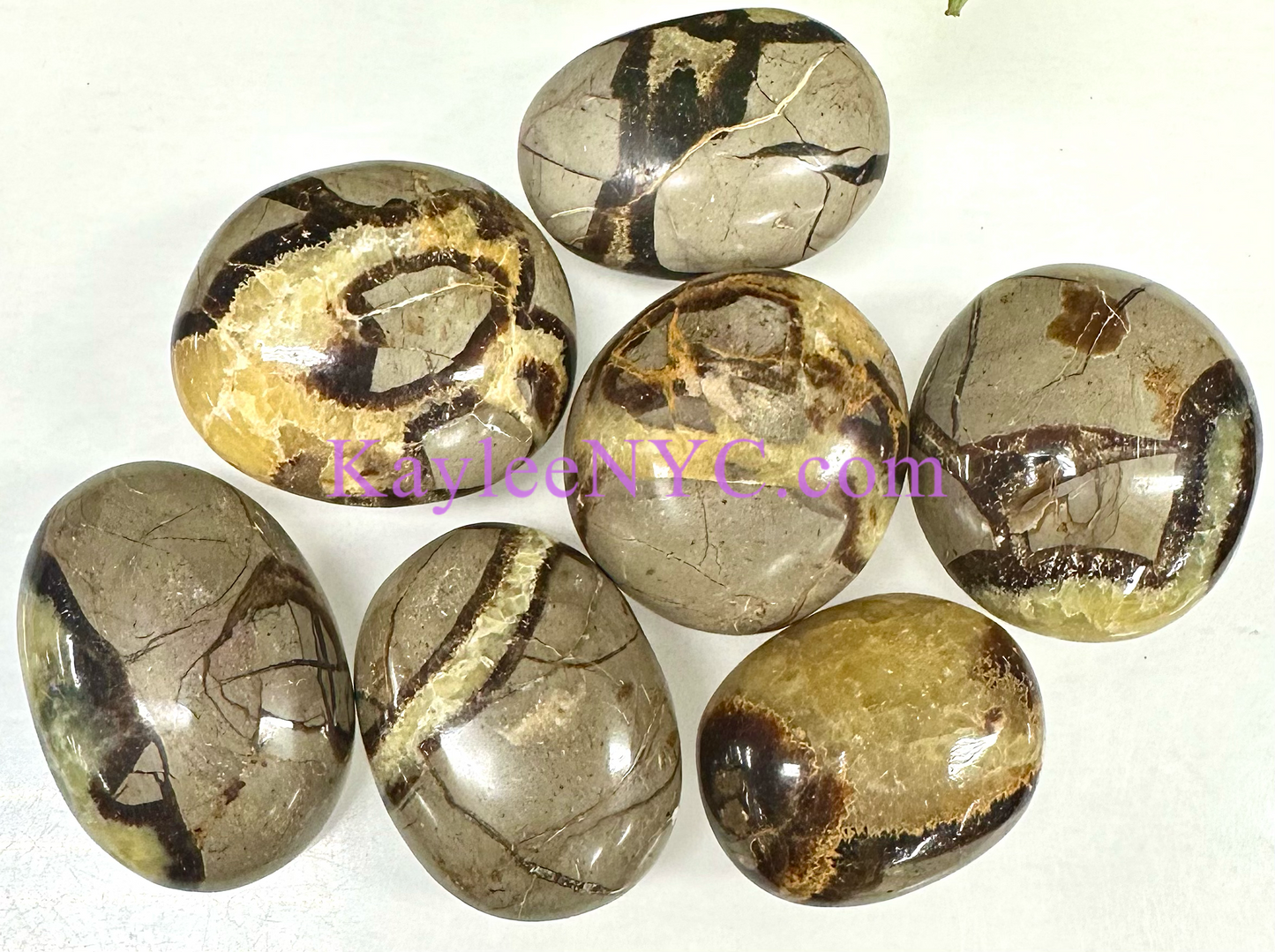 Wholesale 2 Lb Lot Natural Septarian Palm Stones Crystal Natural Energy