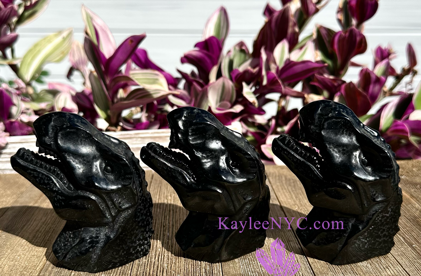 3 PCs Natural Black Obsidian Dinosaur