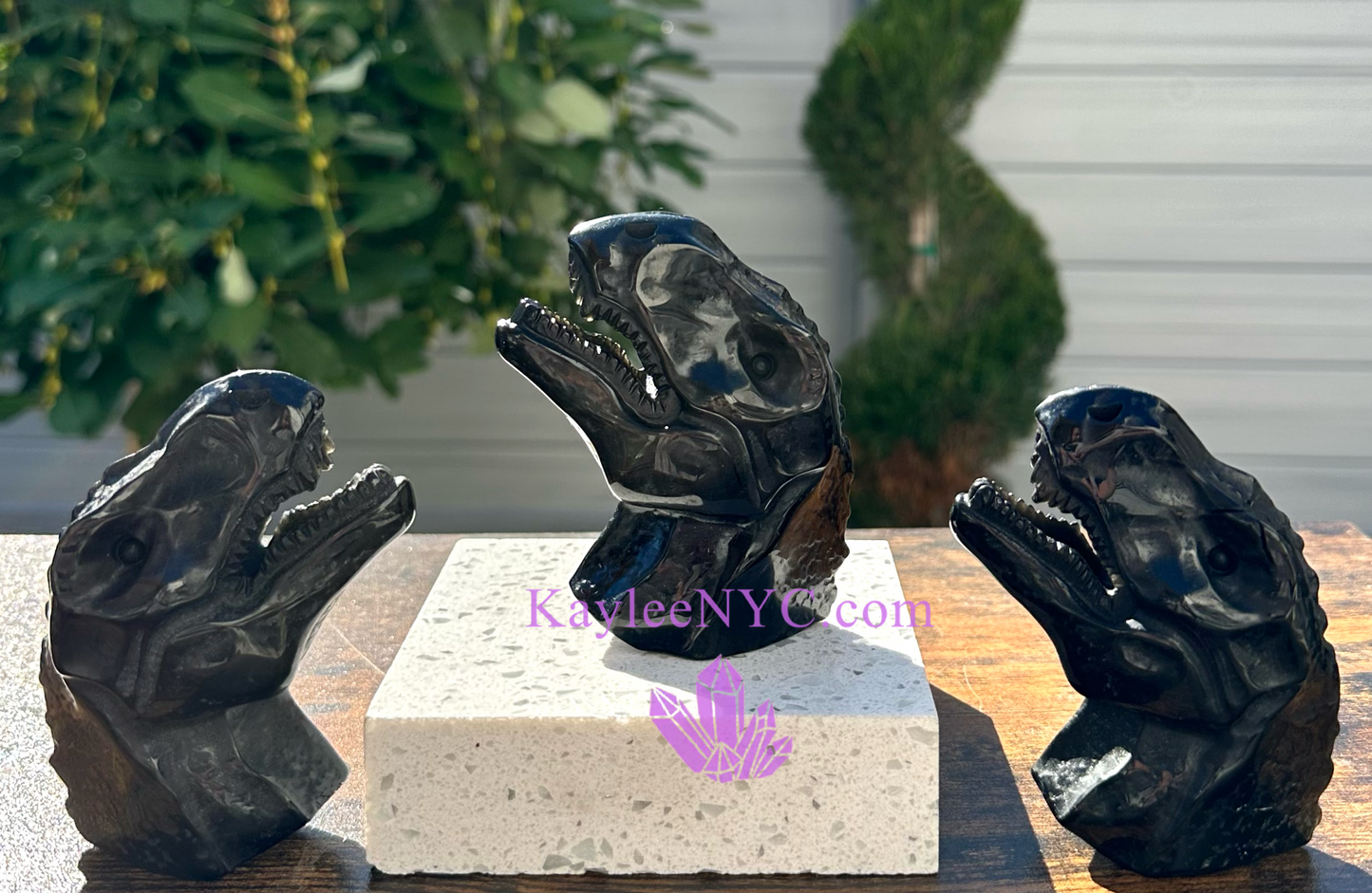 3 PCs Natural Black Obsidian Dinosaur