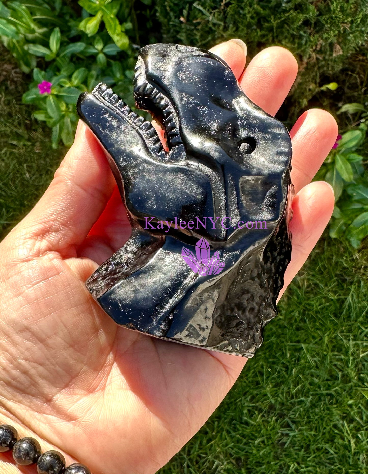 3 PCs Natural Black Obsidian Dinosaur