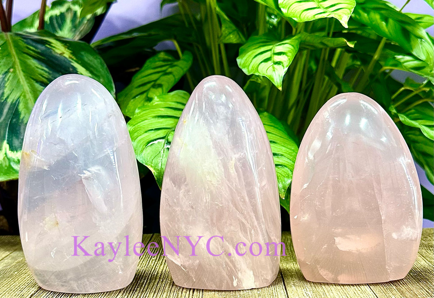 Wholesale Lot 3 pcs Natural Rose Quartz Freeform Polished