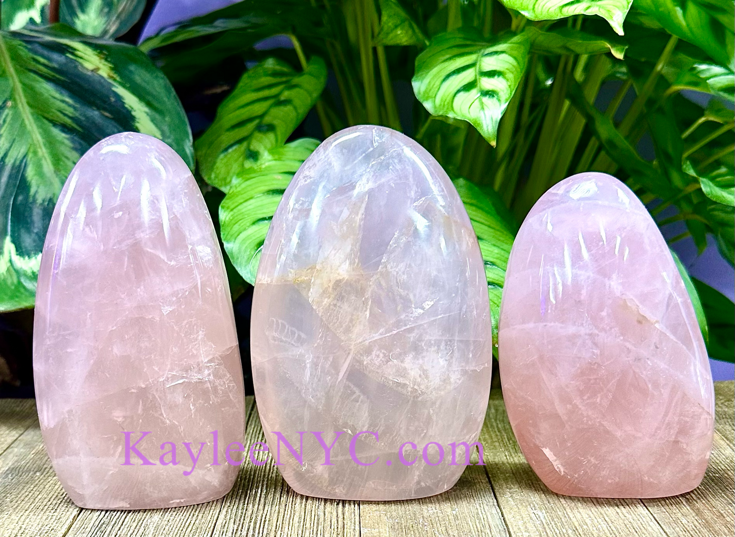 Wholesale Lot 3 pcs Natural Rose Quartz Freeform Polished