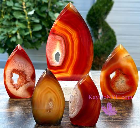 5-6 PCs Natural Carnelian Druzy Freeform