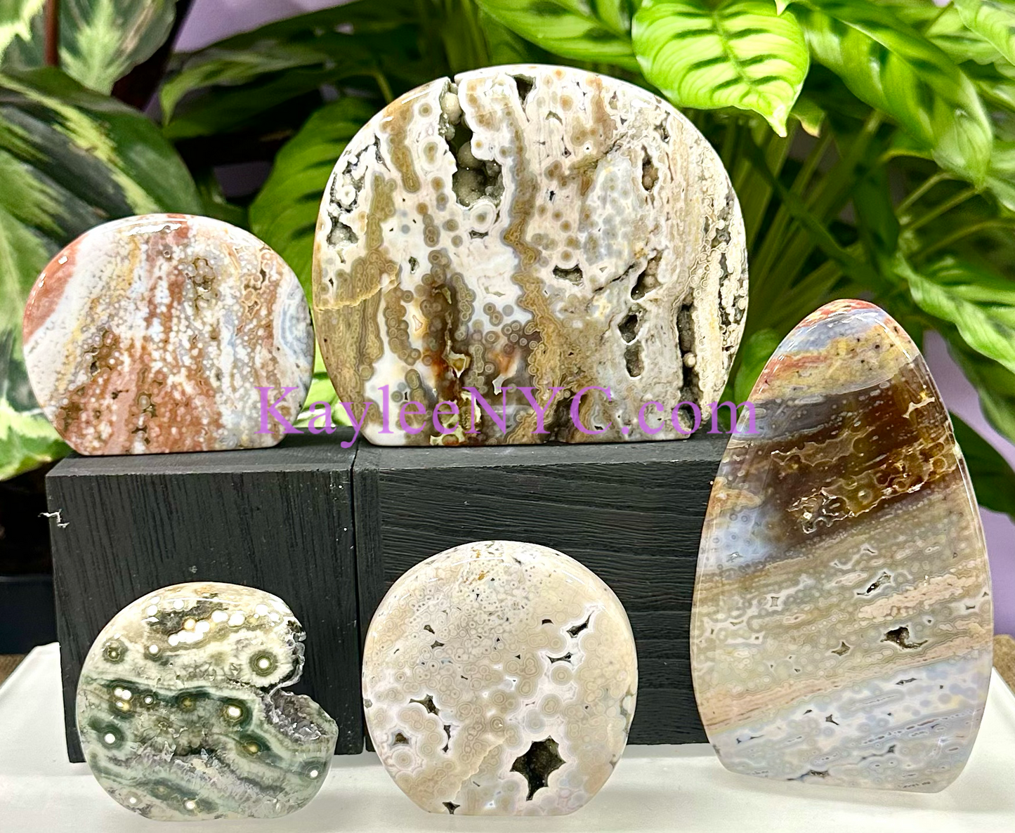 5 PCs Natural Ocean Jasper Freeform