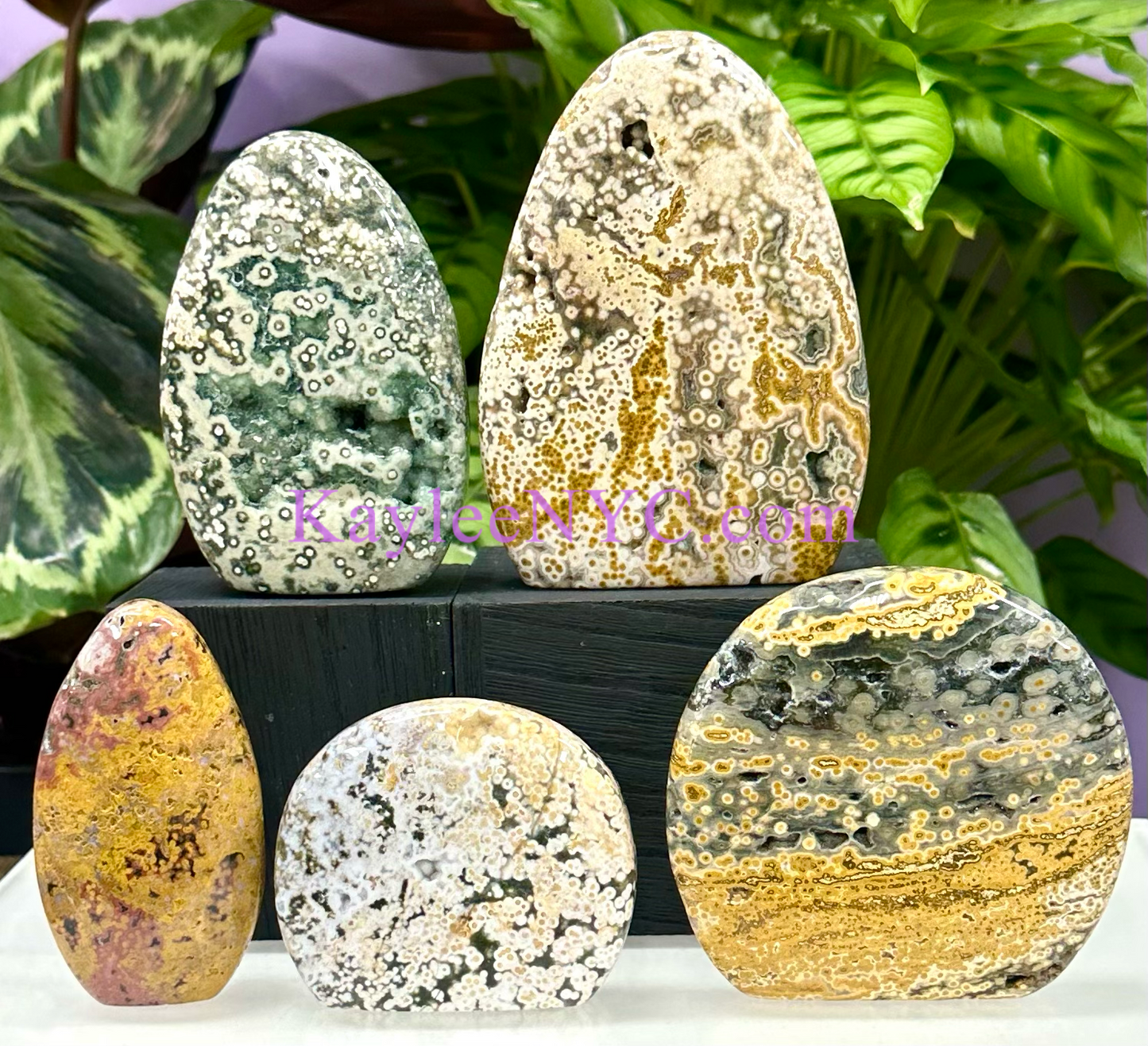 5 PCs Natural Ocean Jasper Freeform