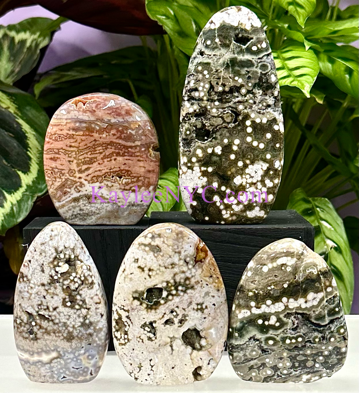 5 PCs Natural Ocean Jasper Freeform