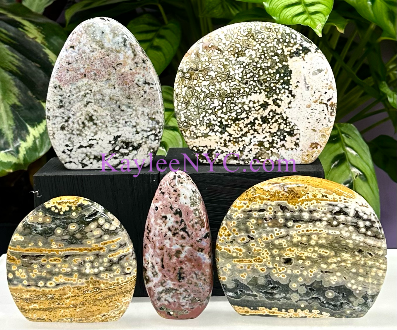 5 PCs Natural Ocean Jasper Freeform