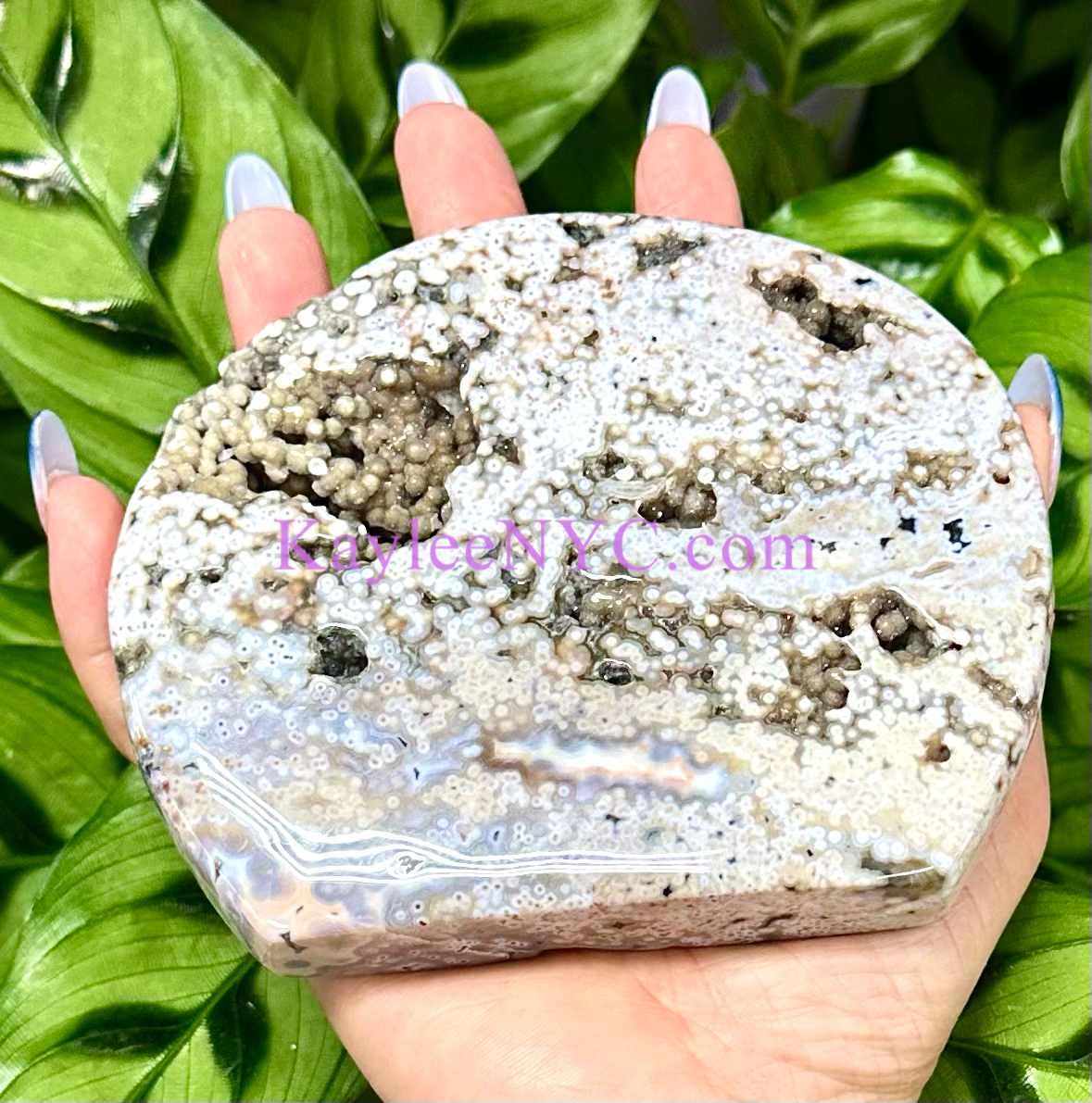 5 PCs Natural Ocean Jasper Freeform