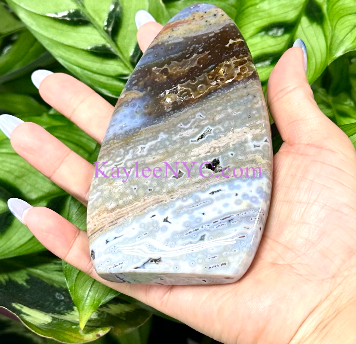 5 PCs Natural Ocean Jasper Freeform