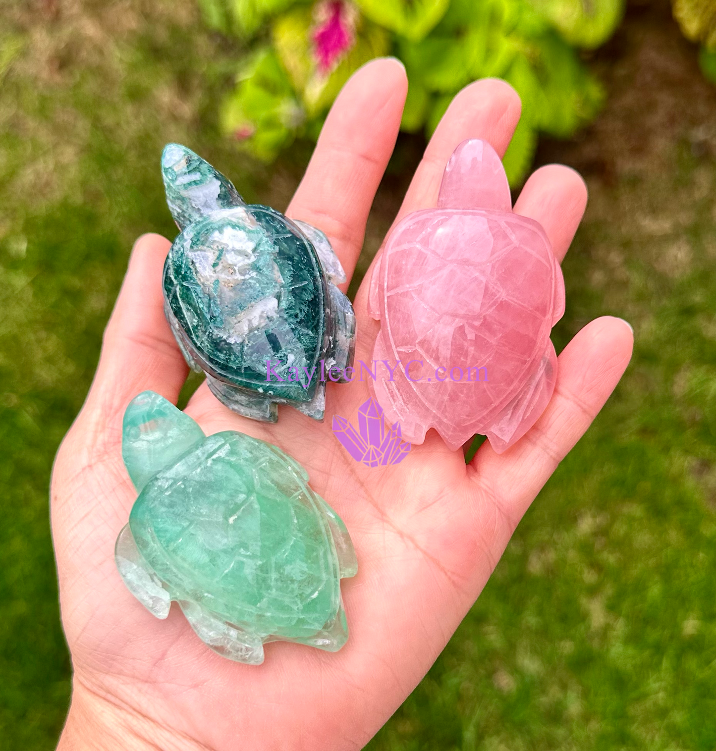 5 PCs 2.5” Natural Crystal Turtle