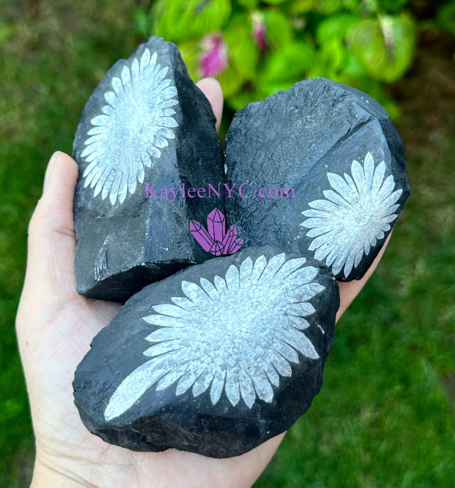 Wholesale Lot 3 PCs Natural Chrysanthemum Crystal