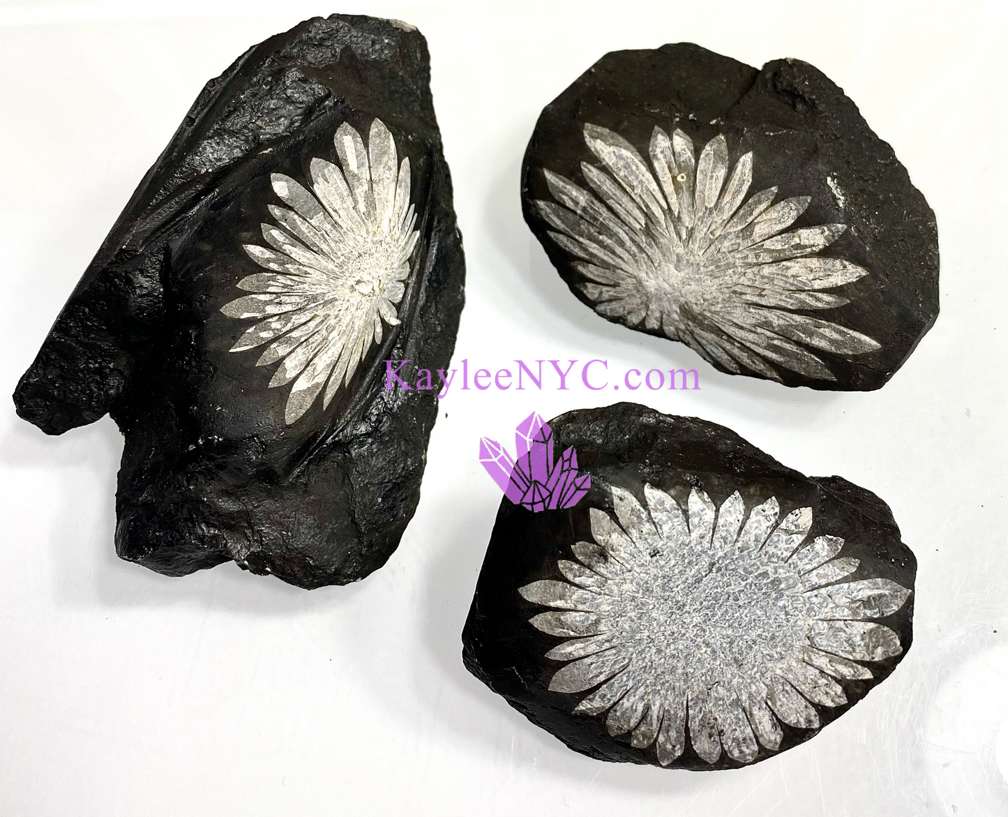 Wholesale Lot 3 PCs Natural Chrysanthemum Crystal