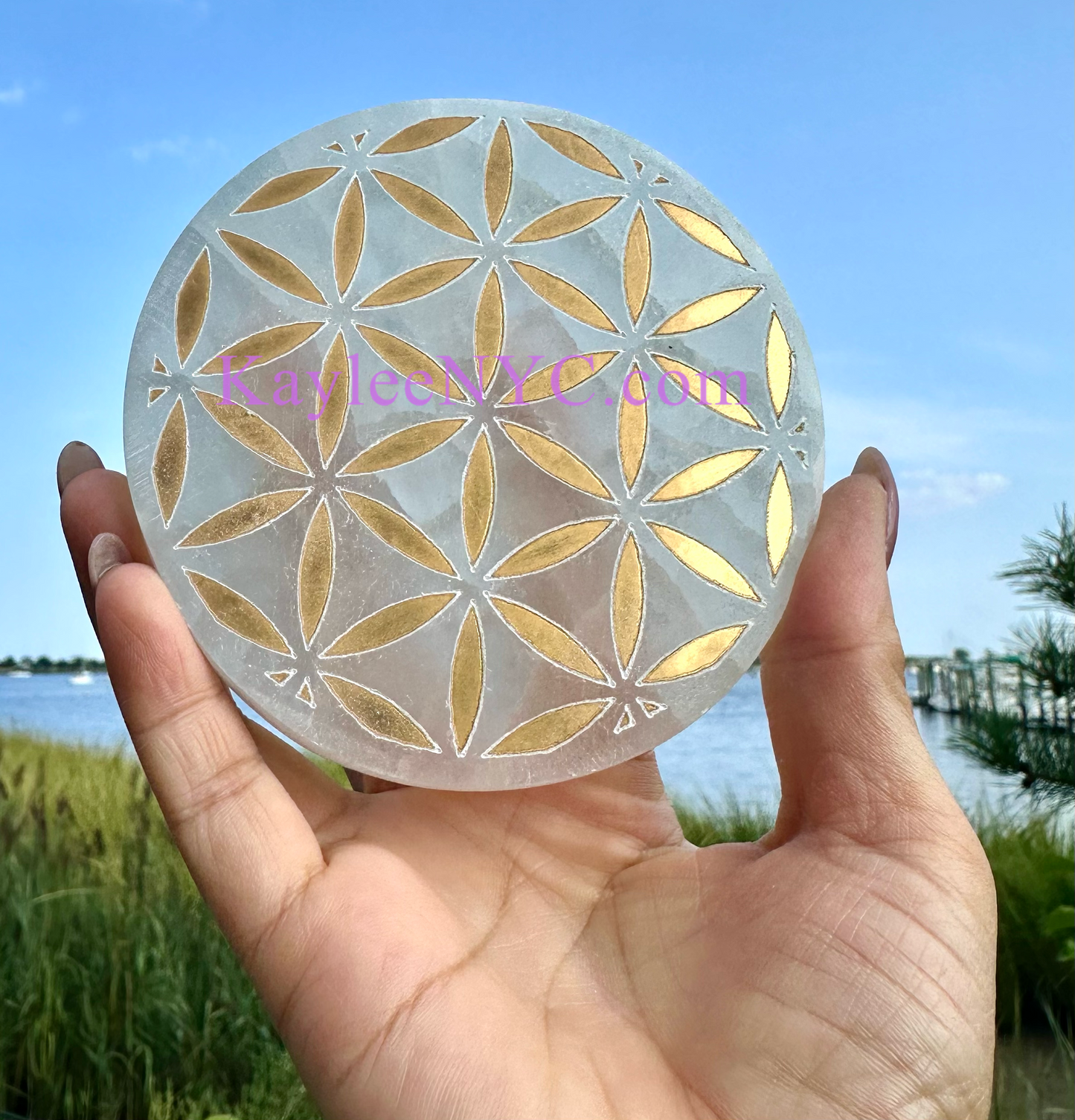 Wholesale Lot 6 pcs Natural Selenite aka Satin Spar Flower of Life Round Charging Plate Crystal