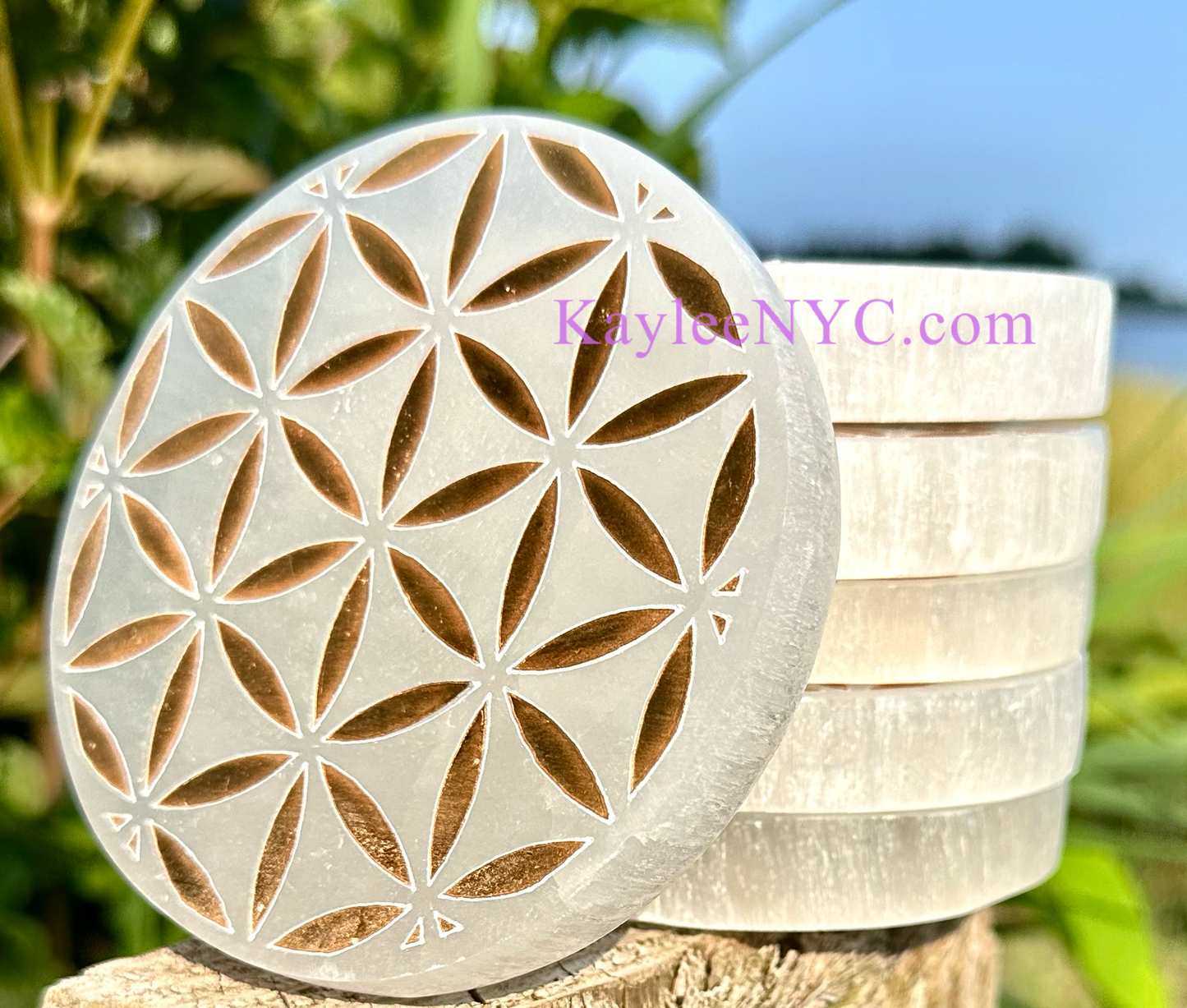 Wholesale Lot 6 pcs Natural Selenite aka Satin Spar Flower of Life Round Charging Plate Crystal