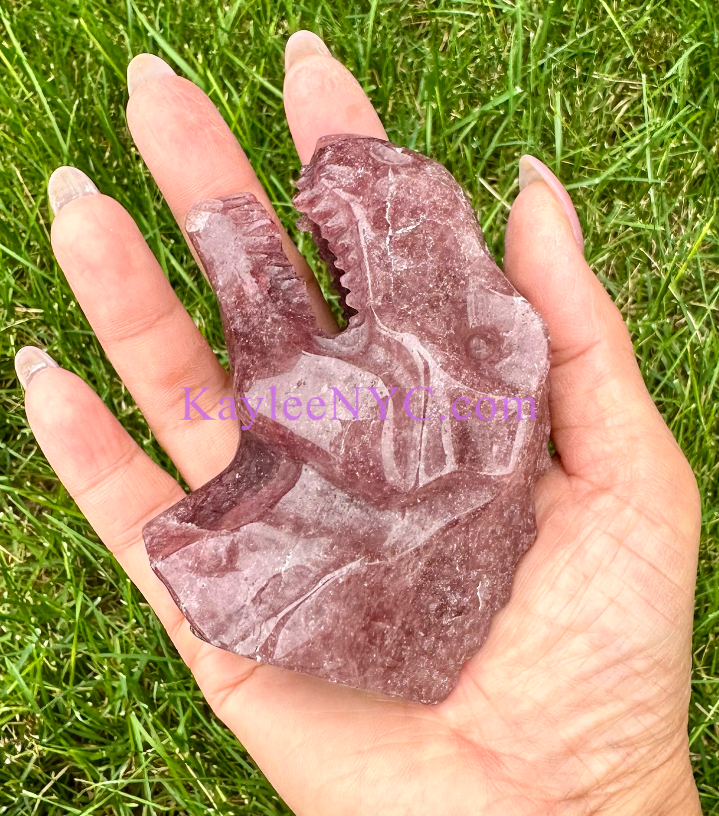 3 PCs Natural Strawberry Quartz Dinosaur