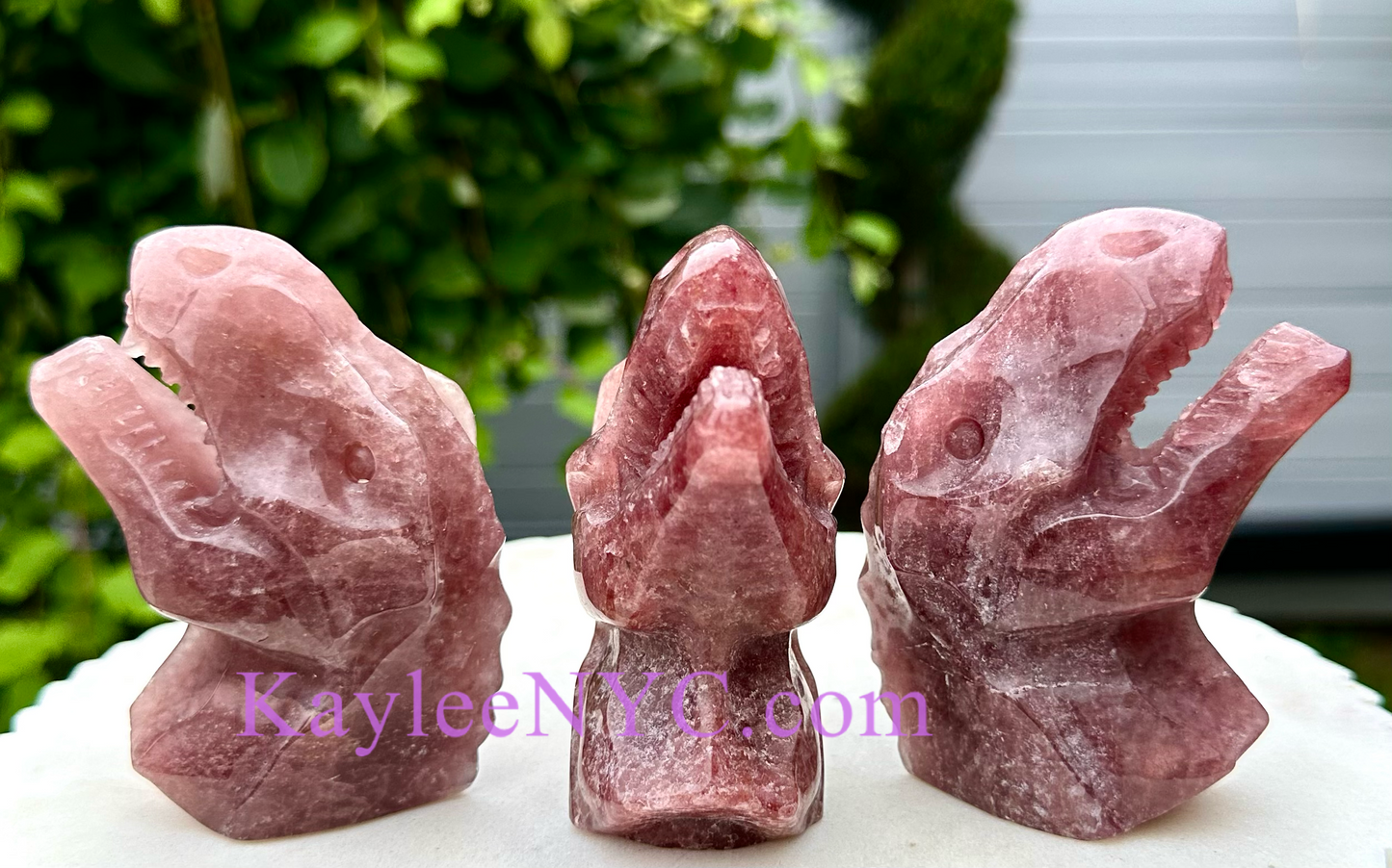 3 PCs Natural Strawberry Quartz Dinosaur