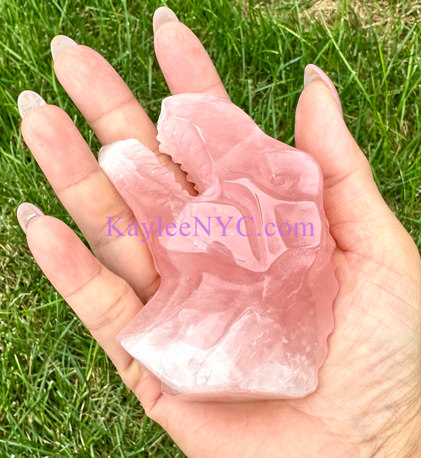 3 PCs Natural Rose Quartz Dinosaur Crystals Healing Energy