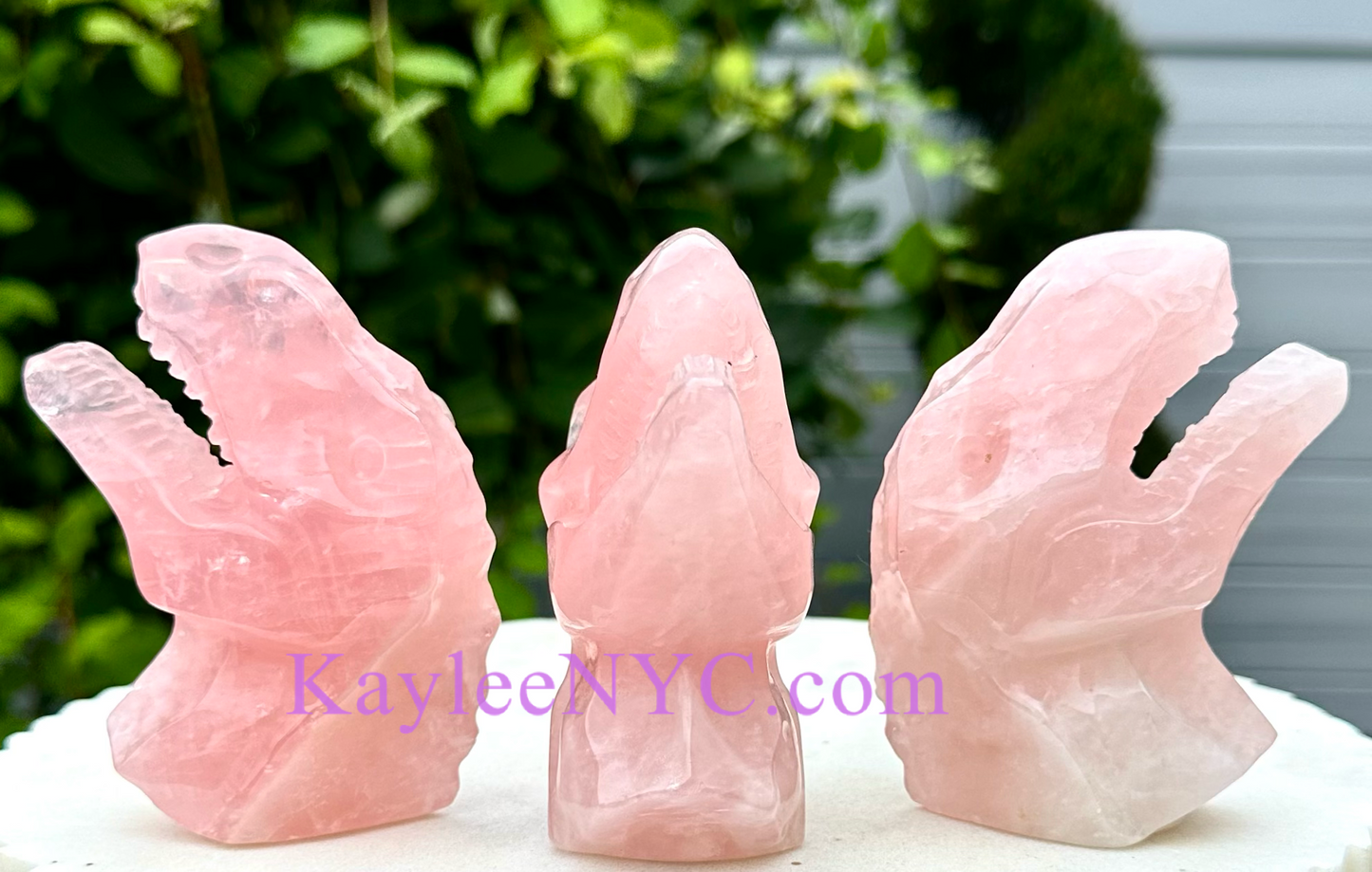 3 PCs Natural Rose Quartz Dinosaur Crystals Healing Energy