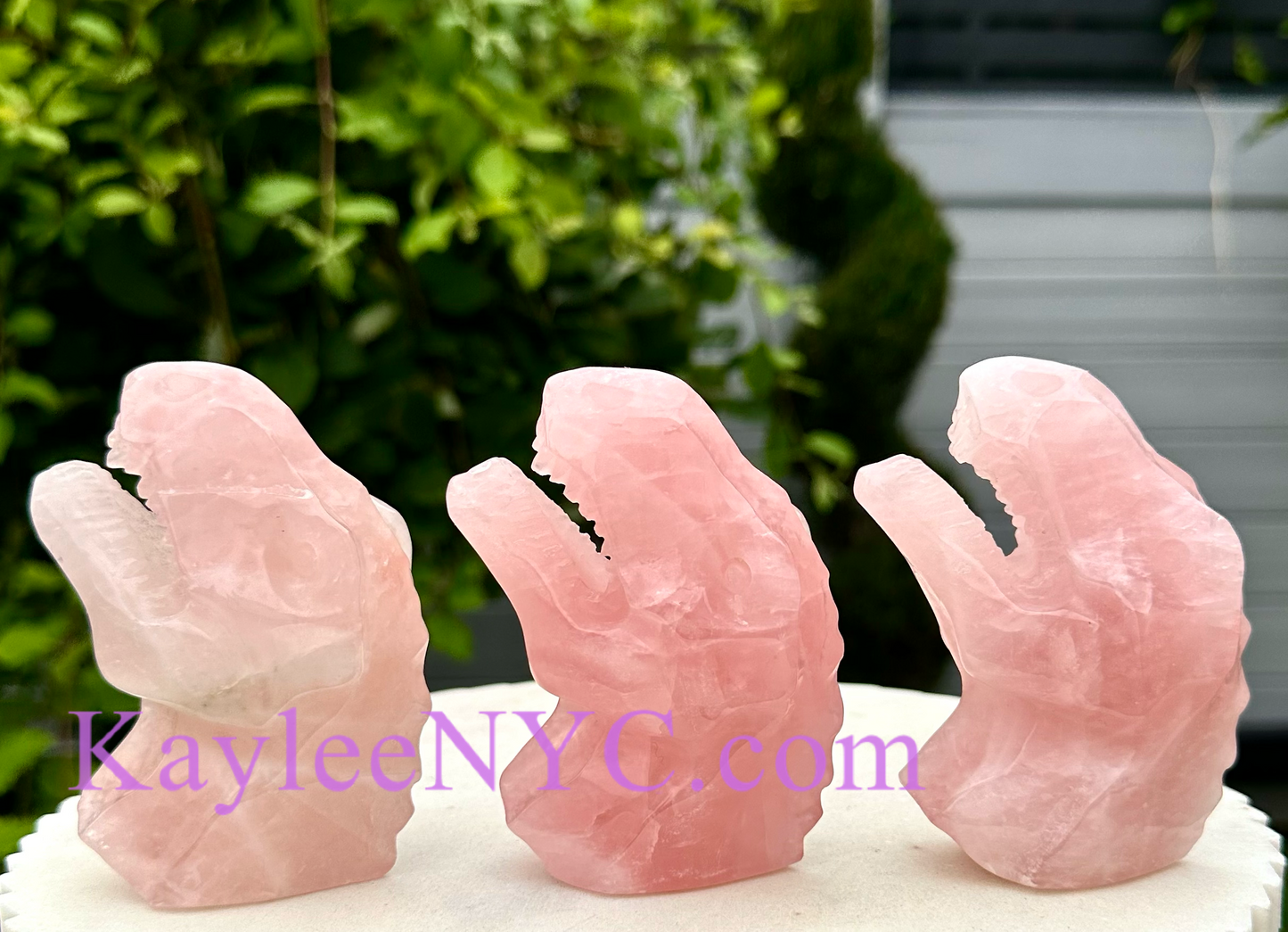 3 PCs Natural Rose Quartz Dinosaur Crystals Healing Energy