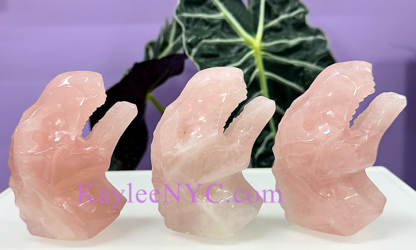 3 PCs Natural Rose Quartz Dinosaur Crystals Healing Energy