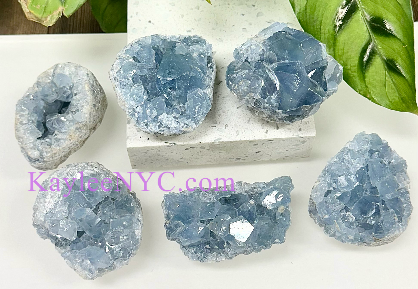 Wholesale Lot 5-6 PCs Natural  Celestite Cluster Raw Crystal