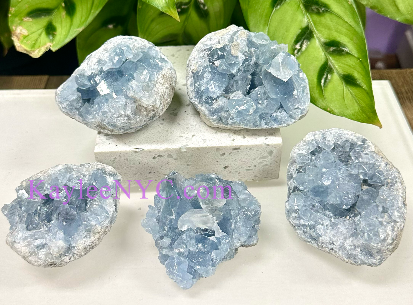 Wholesale Lot 5-6 PCs Natural  Celestite Cluster Raw Crystal