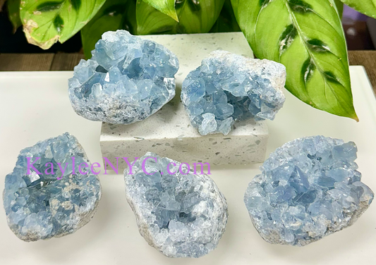 Wholesale Lot 5-6 PCs Natural  Celestite Cluster Raw Crystal